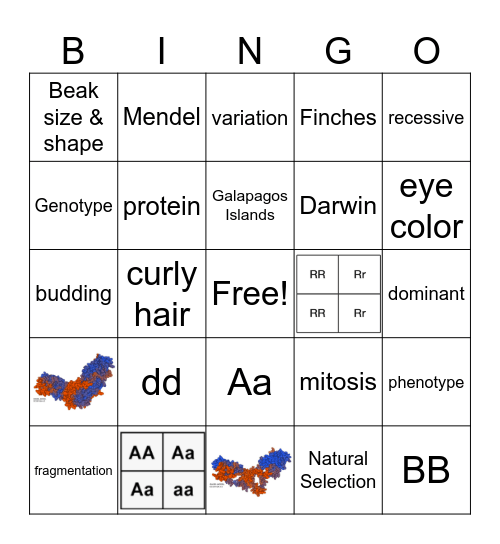 Q3 Science Bingo Card