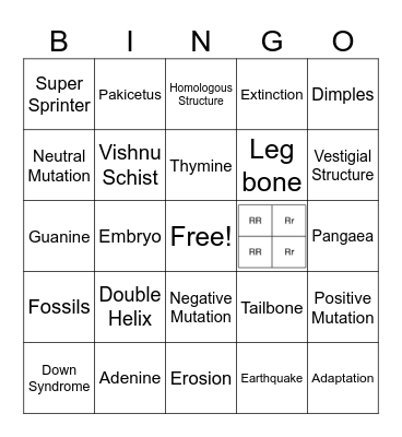 Q3 Science Bingo Card
