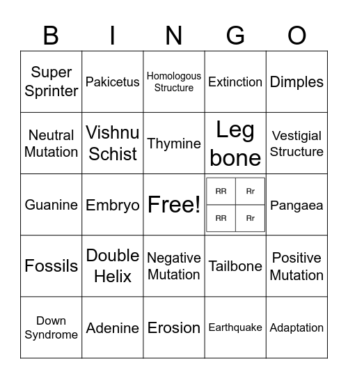 Q3 Science Bingo Card