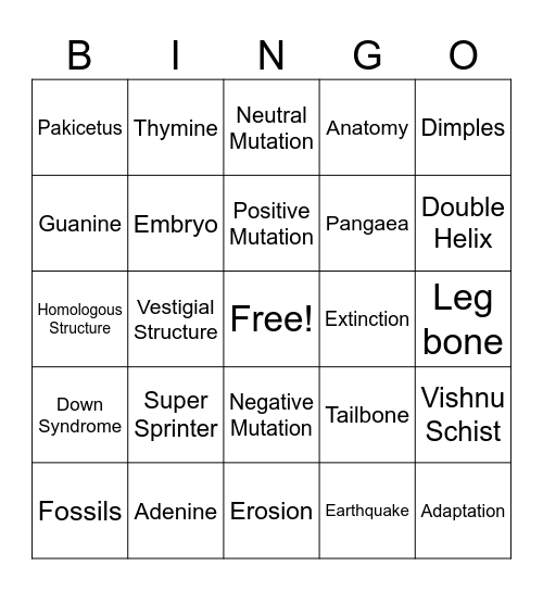 Q3 Science Bingo Card