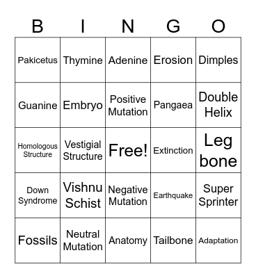 Q3 Science Bingo Card