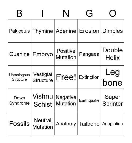 Q3 Science Bingo Card