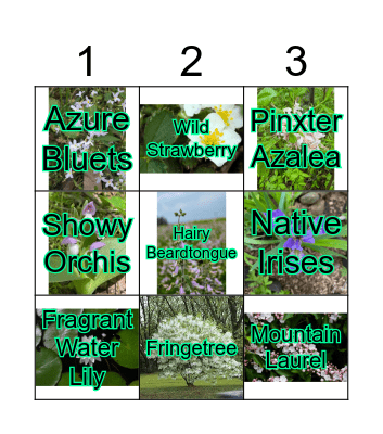 Plant Bingo Card