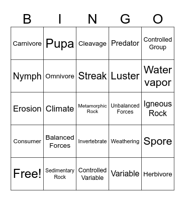 Vocab Bingo Card