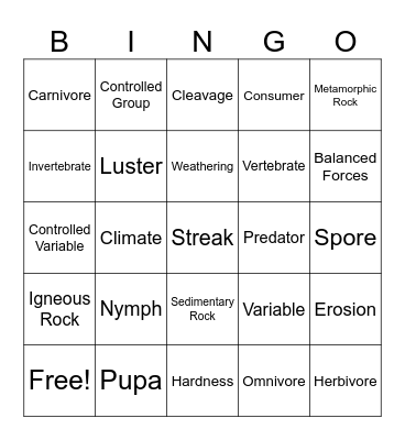 Vocab Bingo Card