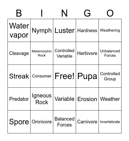 Vocab Bingo Card