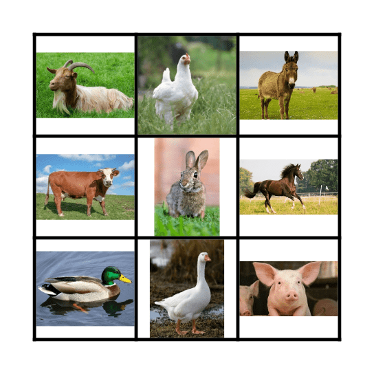 Farm Animals Bingo Card