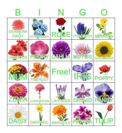 FLOWERS Bingo Card