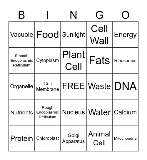 Organelles Bingo Card