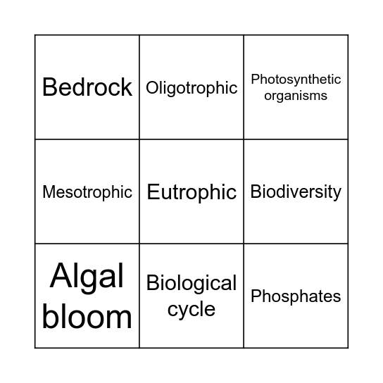 Phosphorus cycle/Fertilizer runoff Bingo Card