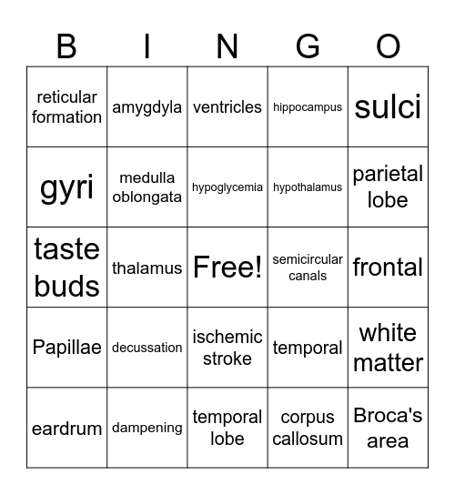 Central and Peripheral Nervous System Bingo Card