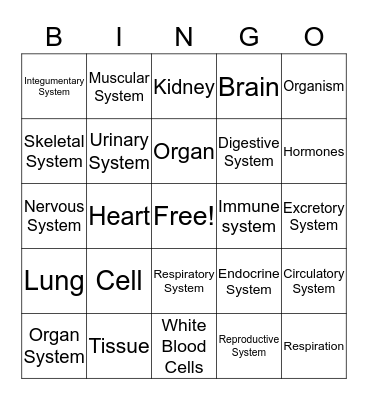 Organ Systems Bingo Card