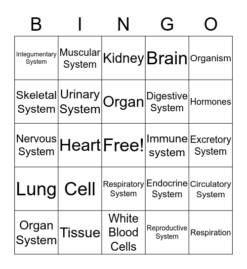 Organ Systems Bingo Card