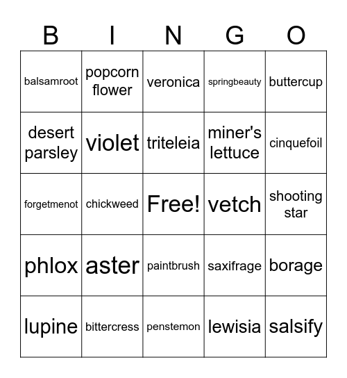 East-side wildflower Bingo Card