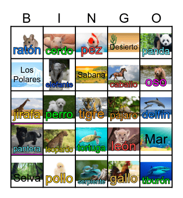 Animales Bingo Card