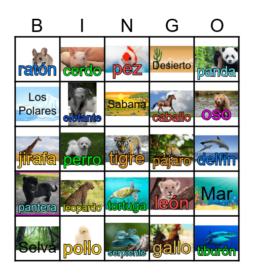Animales Bingo Card