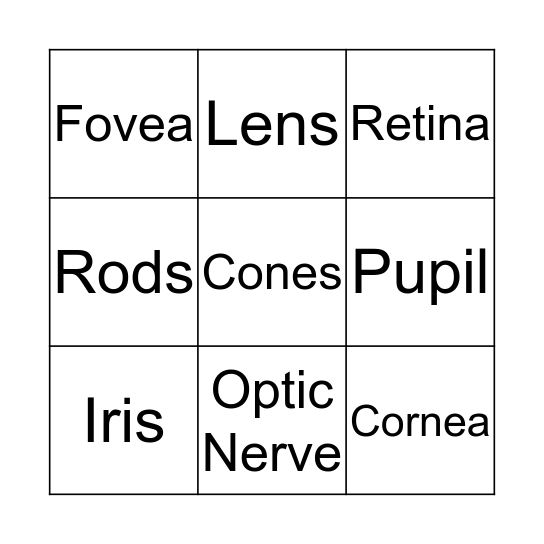 Eye You Ready? (We know this is cornea) Bingo Card