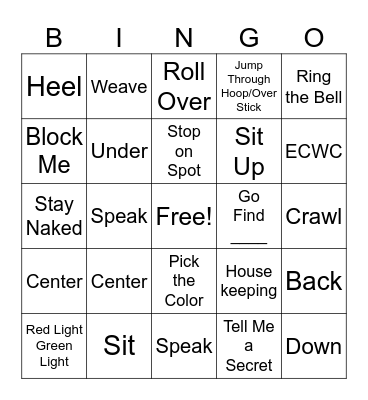 Dr. Sue’s BINGO Card