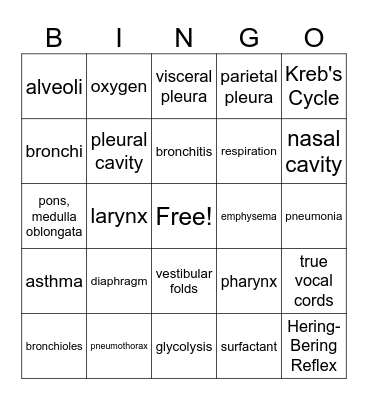 Respiratory System Bingo Card