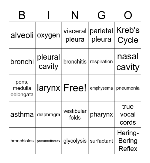 Respiratory System Bingo Card