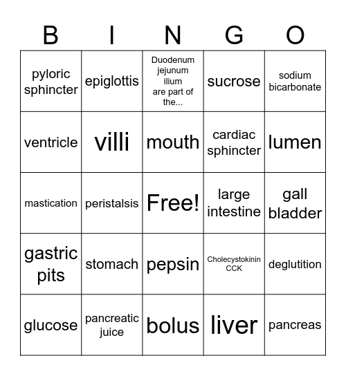 Digestive System Bingo Card