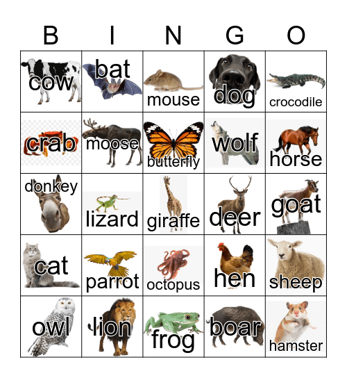 Animals Bingo Card
