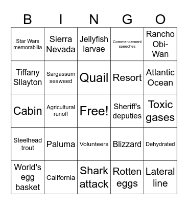 CNN 10 5/19/25 Bingo Card