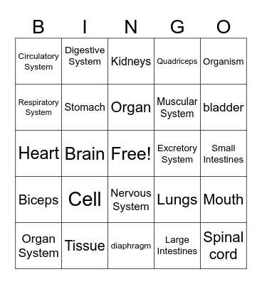 Finals BINGO Card