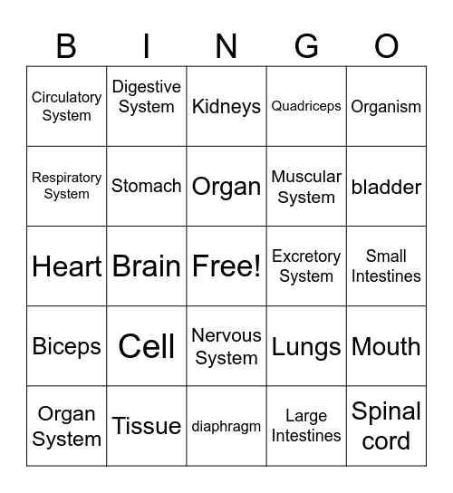Finals BINGO Card