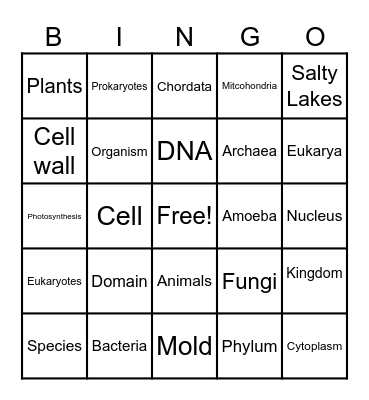 Classification & Naming Bingo Card