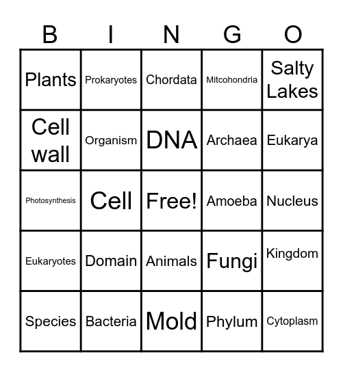 Classification & Naming Bingo Card