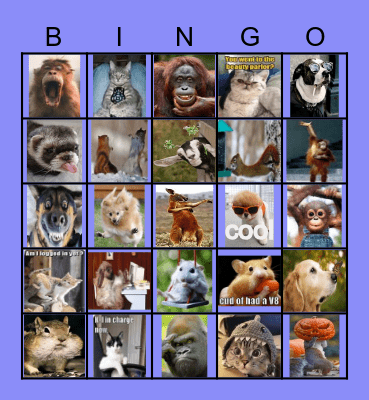 Funny Animals Bingo Card