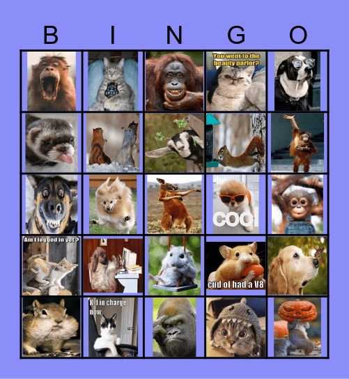 Funny Animals Bingo Card