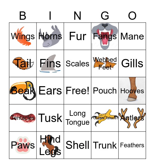 Animal Anatomy Bingo Card