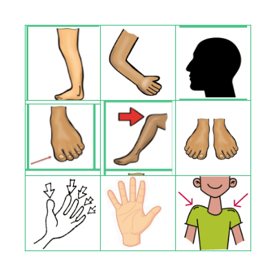 BODY PARTS Bingo Card