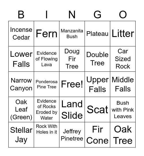 McCloud Falls - Spring Version Bingo Card