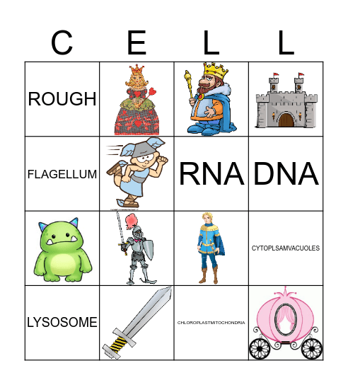 BIOLOGY Bingo Card