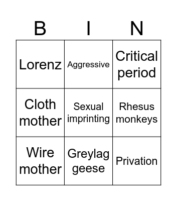 Animal studies in attachments Bingo Card