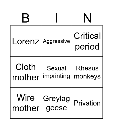 Animal studies in attachments Bingo Card