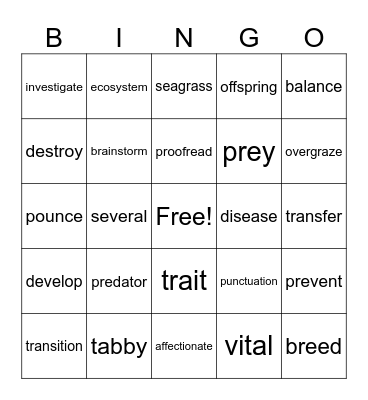 Vocabulary Bingo Card