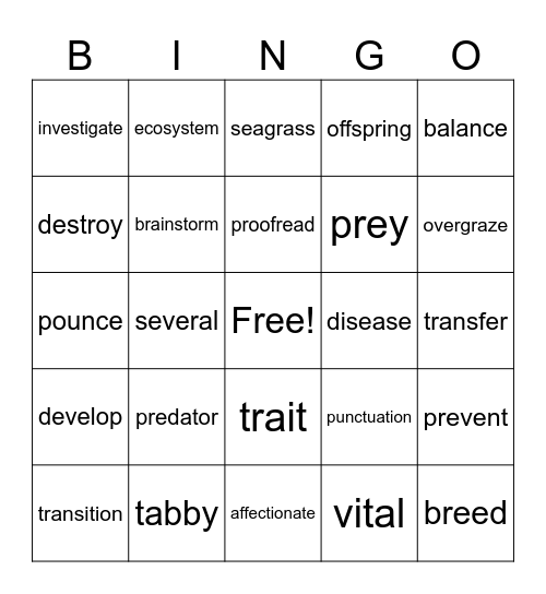 Vocabulary Bingo Card