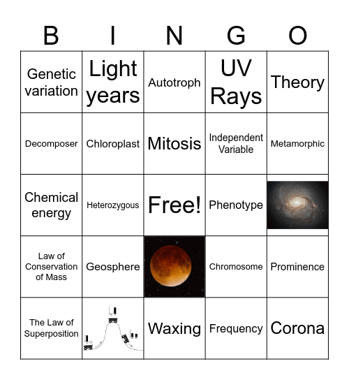 Review Bingo Card