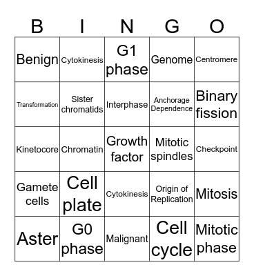 Cell Cycle Bingo Card