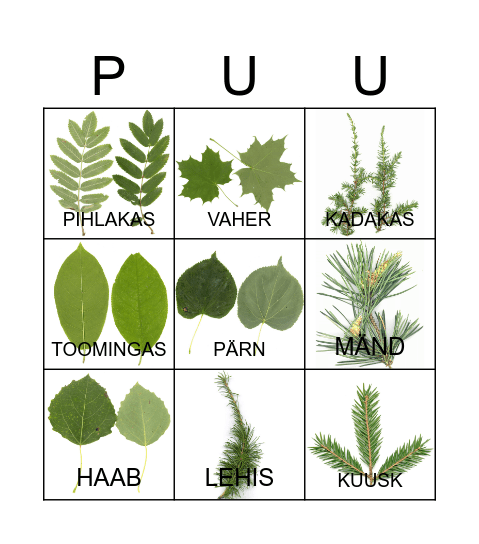 PUUDE BINGO Card