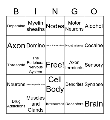 Introduction to the Nervous System Bingo Card