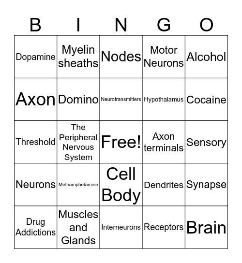 Introduction to the Nervous System Bingo Card