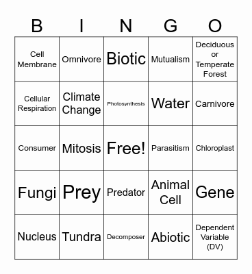 Grubbs Science Bingo Card