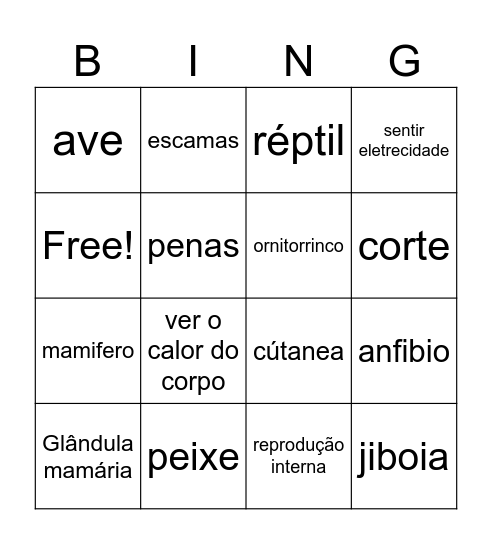 Animais Bingo Card