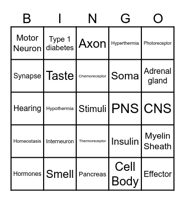 Body Systems bingo Card