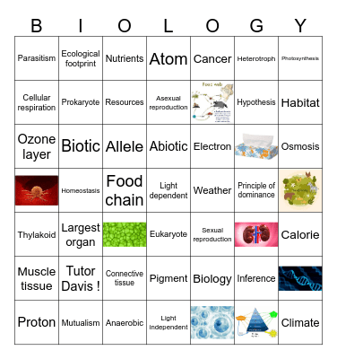 BIO BINGO Card